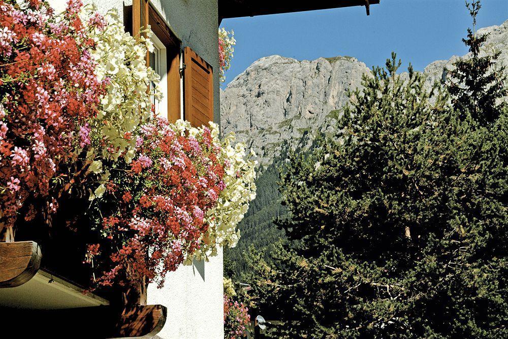 Hotel Patrizia Moena